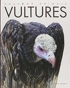 Amazing Animals Vultures