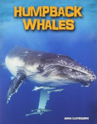 Humpback Whales