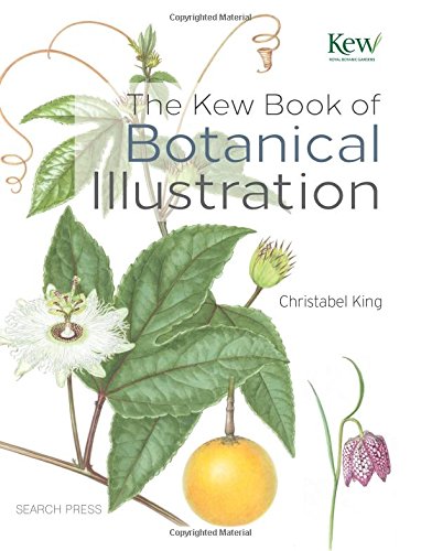 The Kew Book of Botanical Illustration by Christabel King