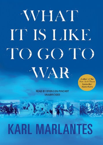 What It Is Like to Go to War by Karl Marlantes