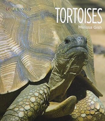 Tortoises