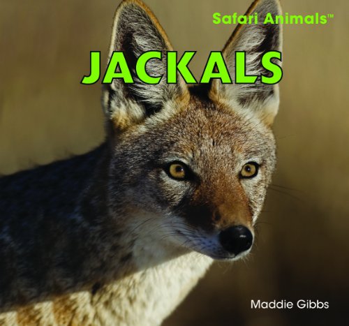Jackals by Maddie Gibbs