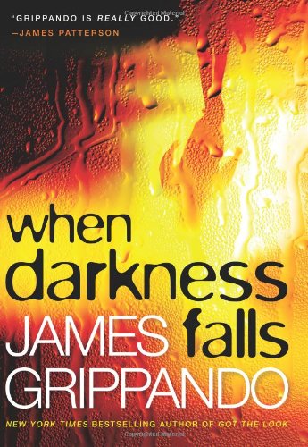 When Darkness Falls by James Grippando