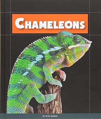 Chameleons