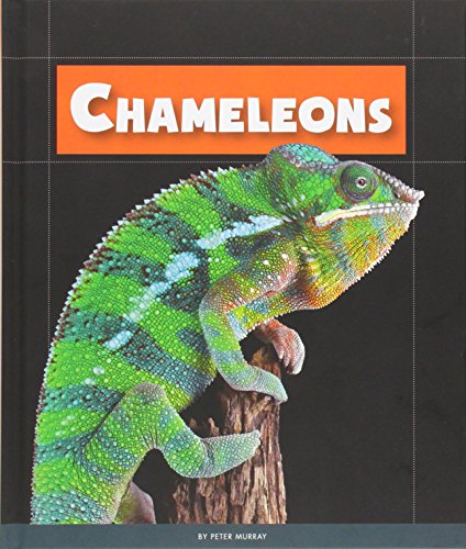 Chameleons by Peter Murray