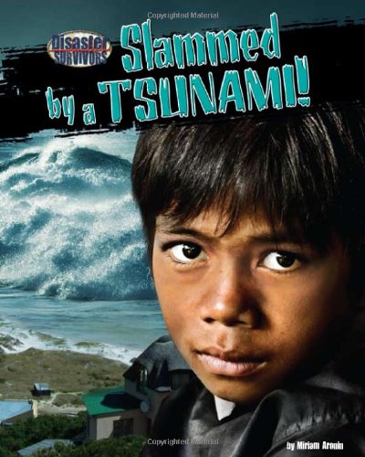 Slammed by a Tsunami! by Miriam Aronin