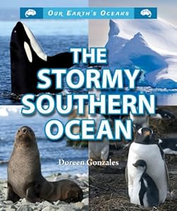 The Stormy Southern Ocean by Doreen Gonzales