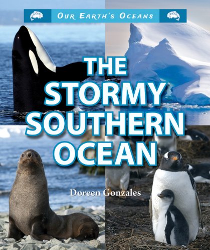 The Stormy Southern Ocean by Doreen Gonzales