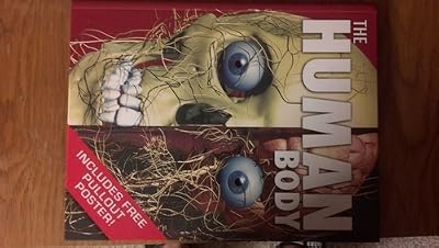 Human body