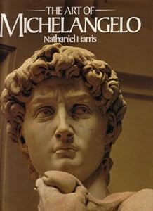 The Art of Michelangelo