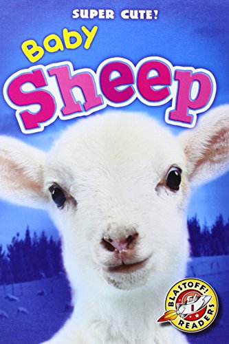 Baby Sheep by Christina Leaf