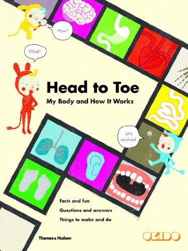 Head to Toe: My Body and How It Works by OKIDO