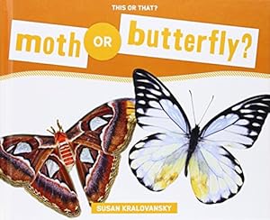 Moth or Butterfly?