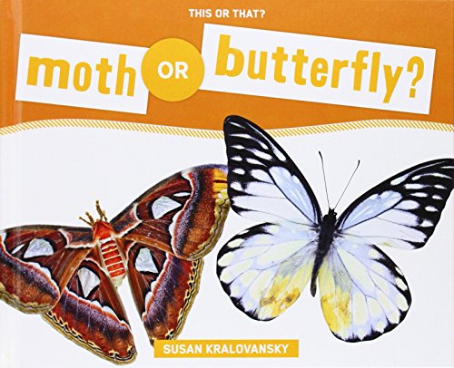 Moth or Butterfly? by Susan Kralovansky