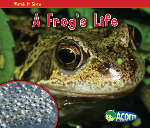 A Frog's Life by Nancy Dickmann