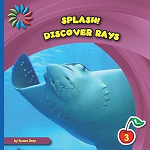 Discover Rays