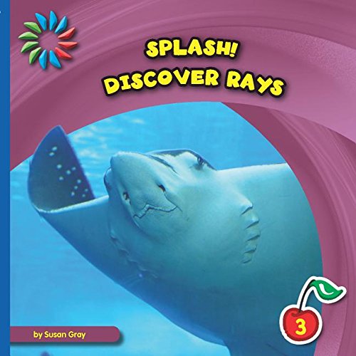Discover Rays by Susan Heinrichs Gray