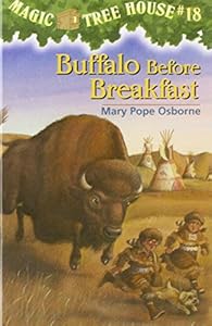 Buffalo Before Breakfast