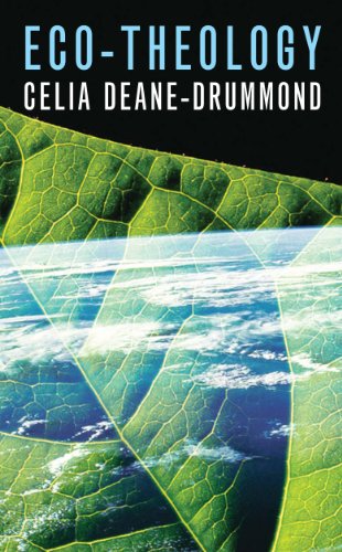 Eco-Theology (Religion Today Book 17)