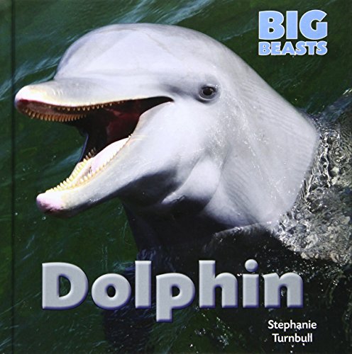 Dolphin by Stephanie Turnbull