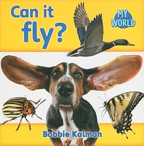 Can It Fly? (My World: Level C)
