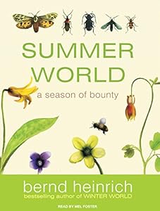 Summer World: A Season of Bounty