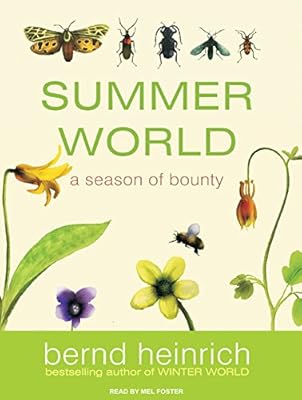 Summer World: A Season of Bounty