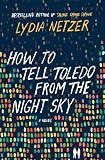 Lydia Netzer, "How to Tell Toledo from the Night Sky" (St. Martin's Press, 2014)