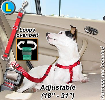 

Seat-belt Tethers - Large - Stainless Steel - Silver - Tether Your Pet in the Car