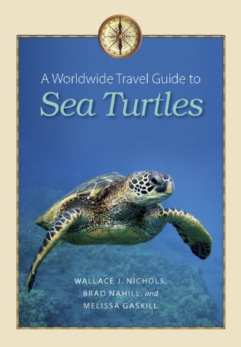 A Worldwide Travel Guide to Sea Turtles by Wallace J Nichols
