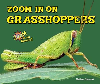 Zoom In on Grasshoppers (Zoom In on Insects!)