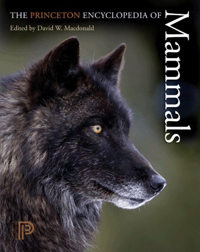The Princeton Encyclopedia of Mammals by David W. Macdonald