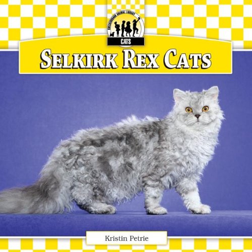 Selkirk Rex Cats by Kristin Petrie