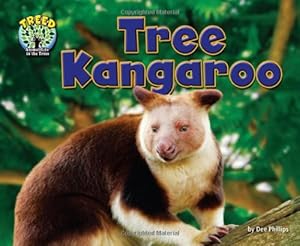 Tree Kangaroo