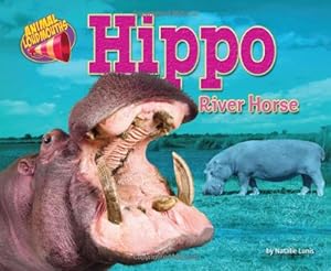 Hippo: River Horse