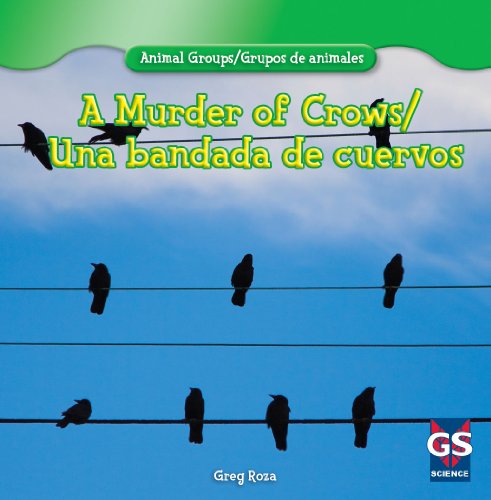A Murder of Crows / Una bandada de cuervos by Greg Roza