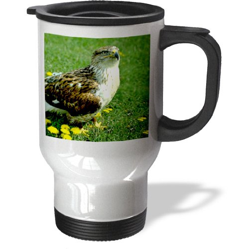 

tm_677 Wild animals - Feruginous Hawk - Travel Mug