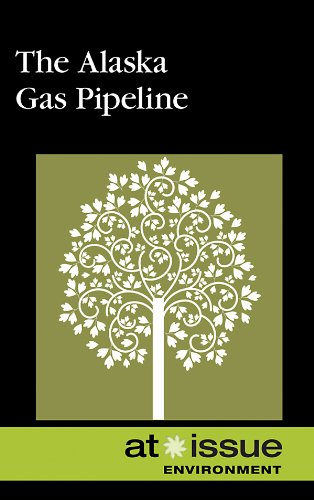 The Alaska Gas Pipeline by Stefan Kiesbye