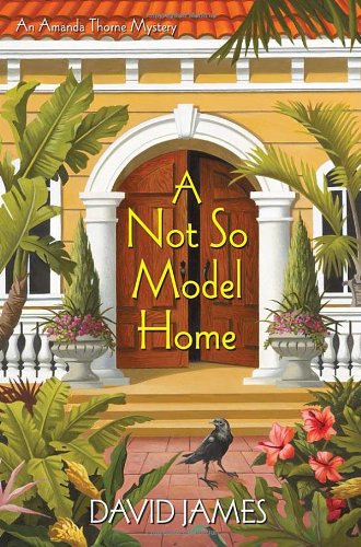 A Not So Model Home (Amanda Thorne Mysteries) by David James