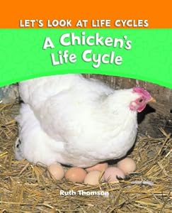 A Chicken's Life Cycle by Ruth Thomson
