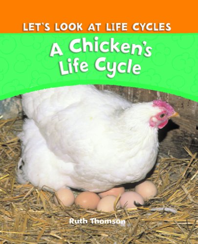 A Chicken's Life Cycle by Ruth Thomson