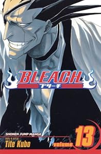 Bleach, Vol. 13