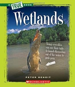 Wetlands