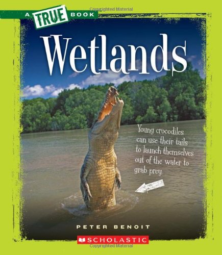Wetlands by Peter Benoit
