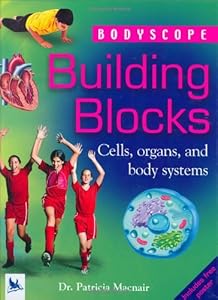 Building Blocks (Bodyscope)
