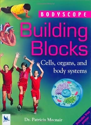 Building Blocks (Bodyscope)