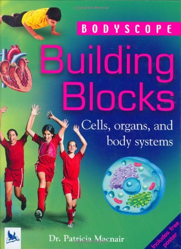 Building Blocks (Bodyscope) by Patricia Macnair