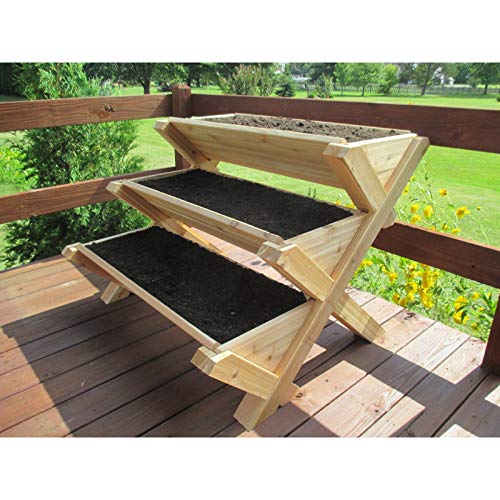 Algopix Similar Product 7 - Infinite Cedar Premium Quality