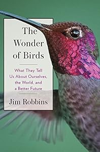 The Wonder of Birds: What They Tell Us About Ourselves, the World, and a Better Future