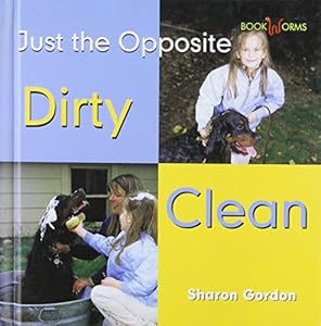 Dirty Clean